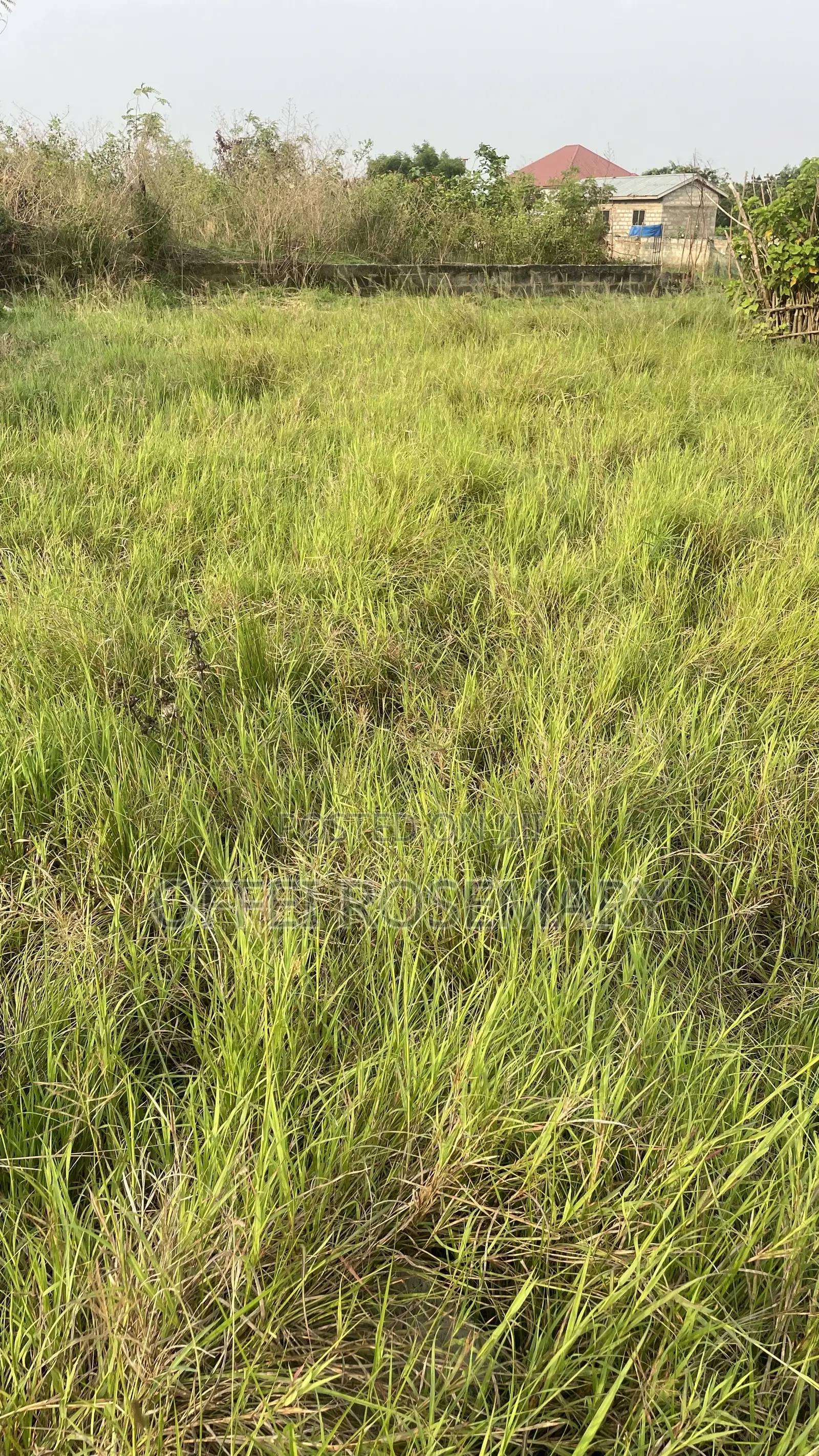 Half Plot at Shai Hills Doryumu for Sale