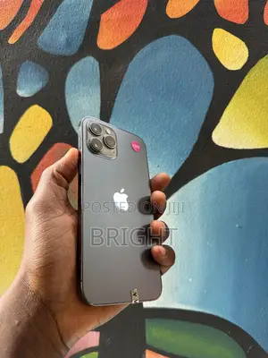 Apple iPhone 12 Pro Max 128 GB Bronze