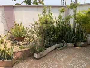 Furnished 4bdrm House in Baatsona Total for rent
