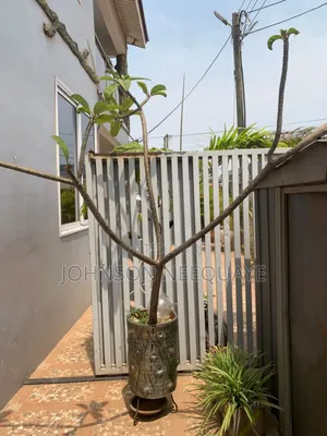 Furnished 4bdrm House in Baatsona Total for rent