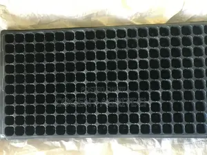 Seedlings/Nursery Trays (200 Cells)