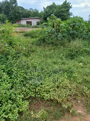 Land/Plot Is Available for Sale With Original Documents