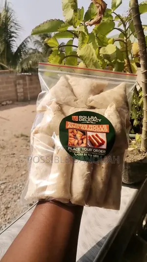 Frozen Spring Rolls Samosas