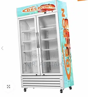 High Quality Delron 2 Door Electric Display Fridge 553liters 