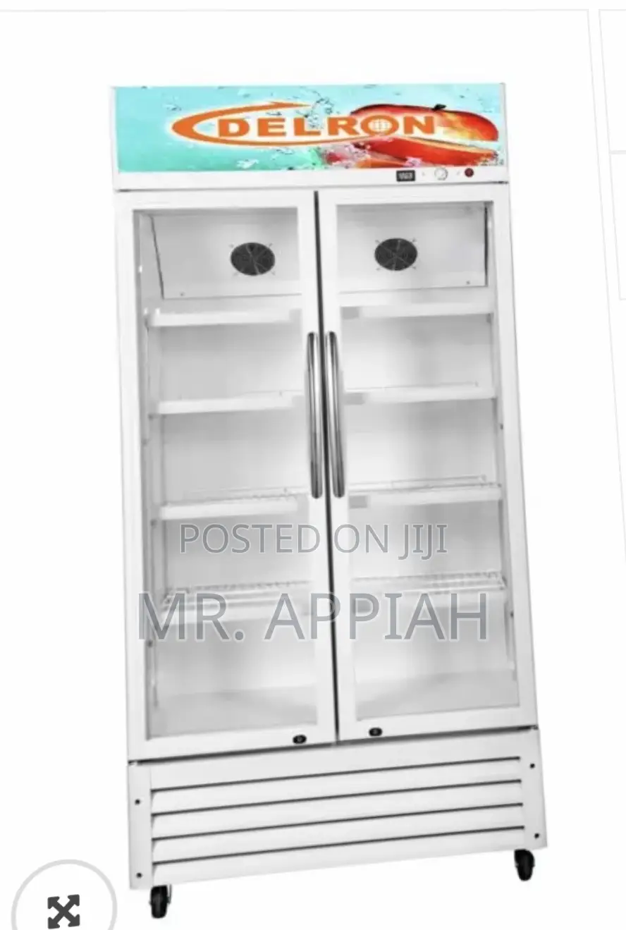 Quality Yet Affordable Delron 553liters 2 Door Electric Display Fridge