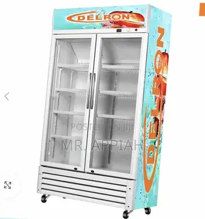 Energy Saving Delron 2 Door Electric Display Refrigerator.