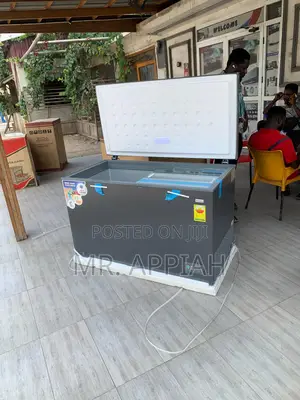 Fast Chilling Nasco 380l Single Door Chest Freezer(Gray)Nas420fl.