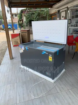 Fast Chilling Nasco Nas420fl Chest Freezer(380liters)Gray 