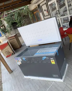 High Efficiency Nasco 380l Freezer(Nas420fl)Gray 