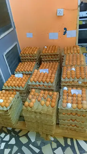 Diamond Eggs