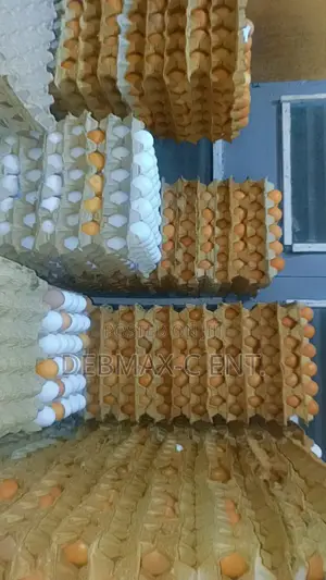 Diamond Eggs