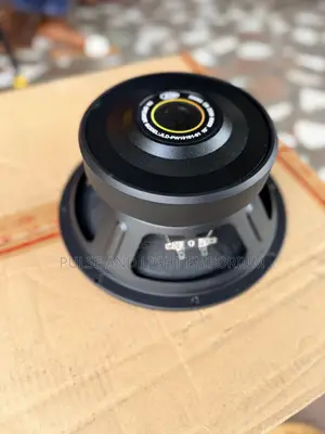 A Pair Of “Jld Audio Pa Naked Speaker”(10 Inches)