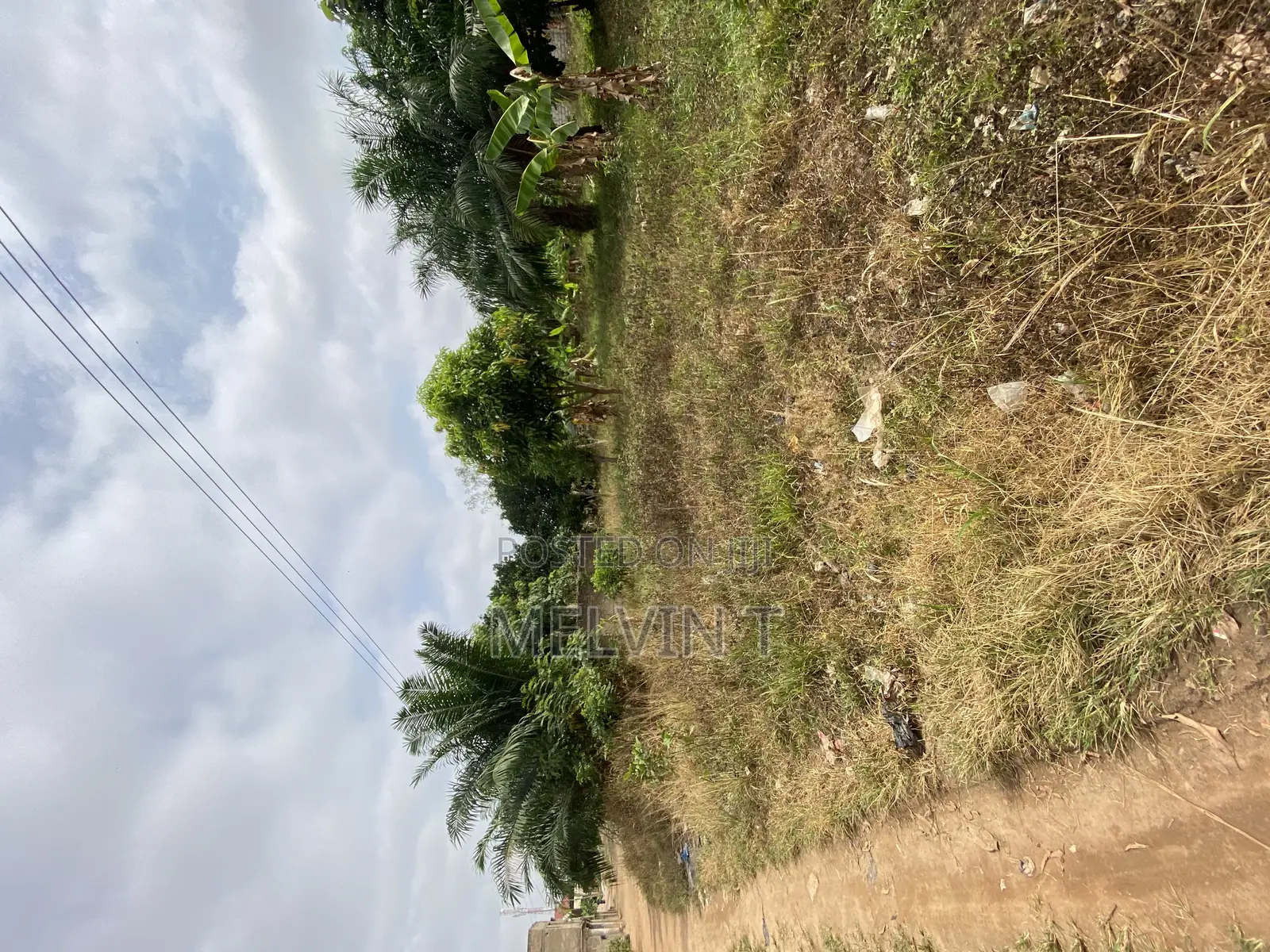Land Forsale at Kronum No Afrancho
