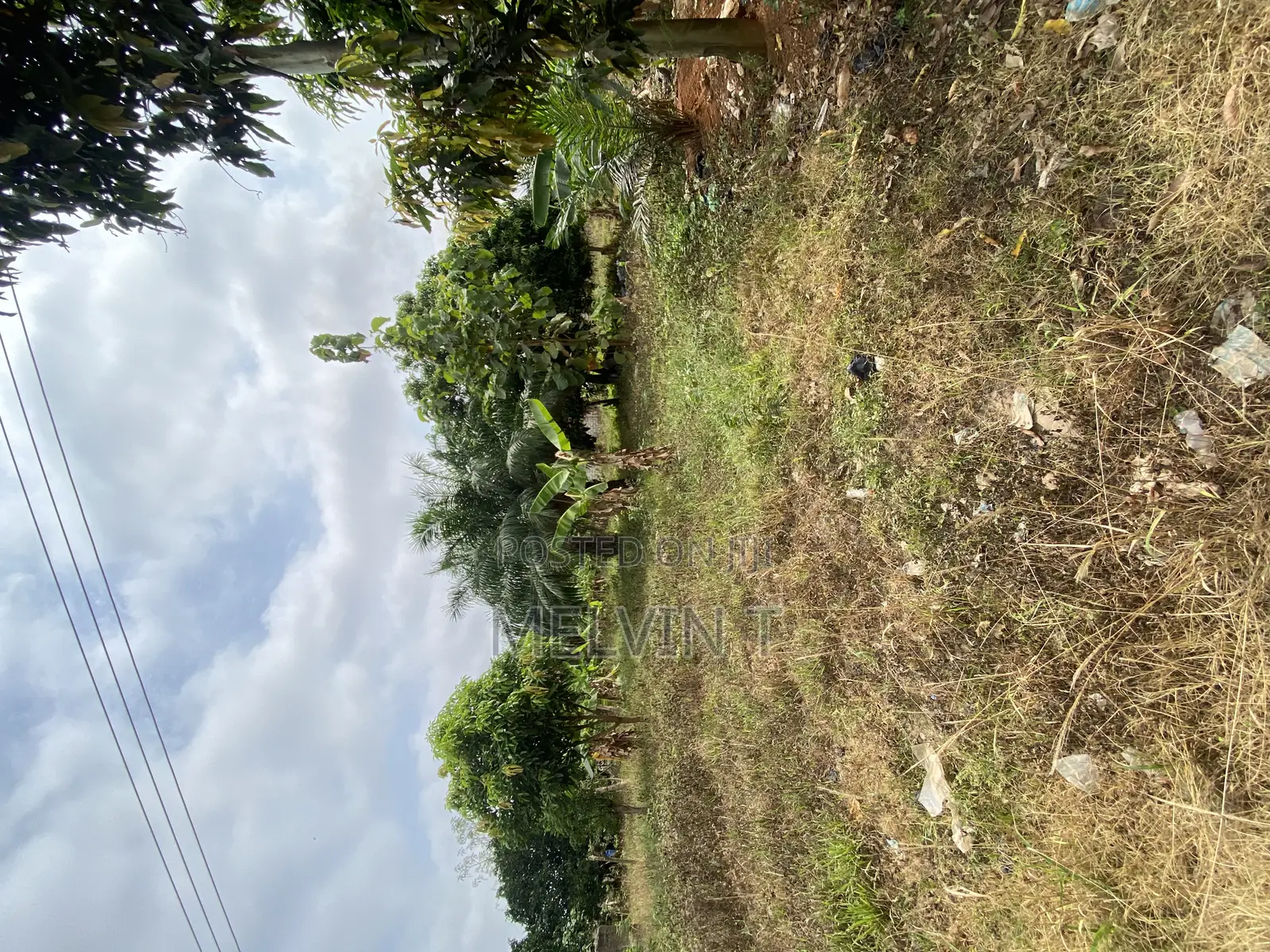 Land Forsale at Kronum No Afrancho
