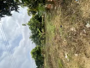 Land Forsale at Kronum No Afrancho