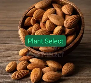 Almond Seeds Or Nuts (350 Grams)