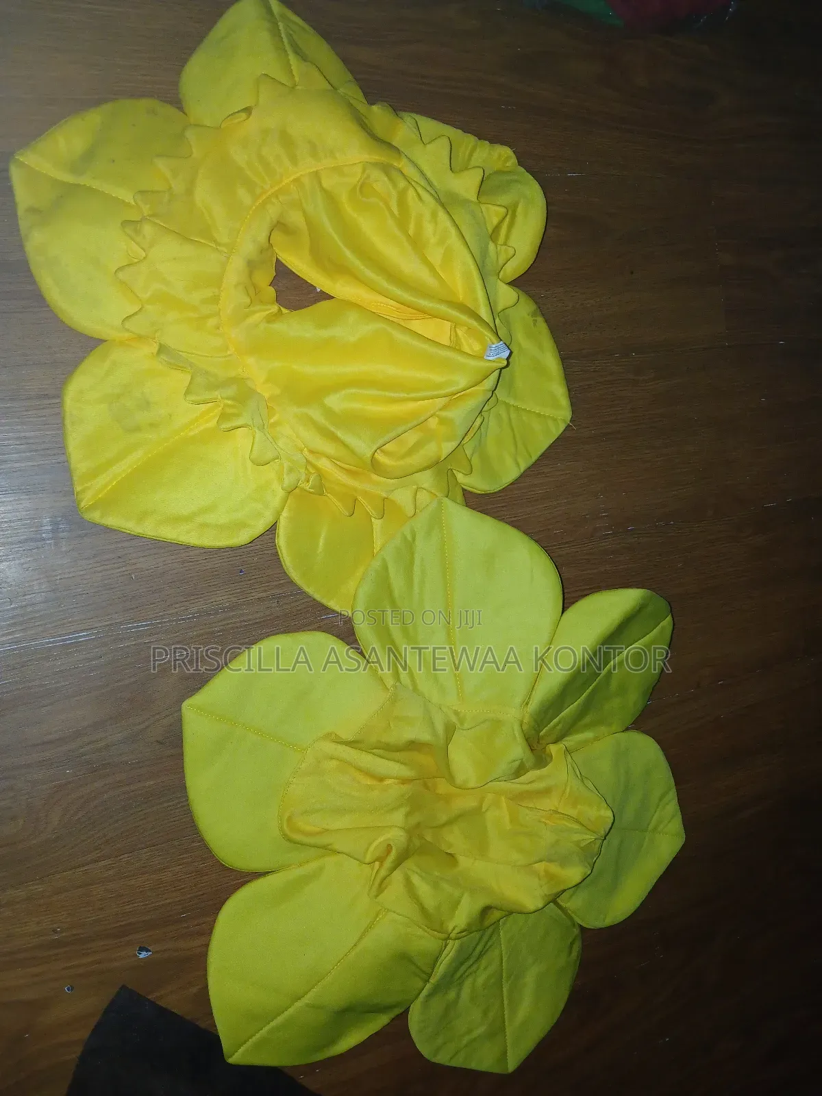 Fruit and Vegetable Costumes