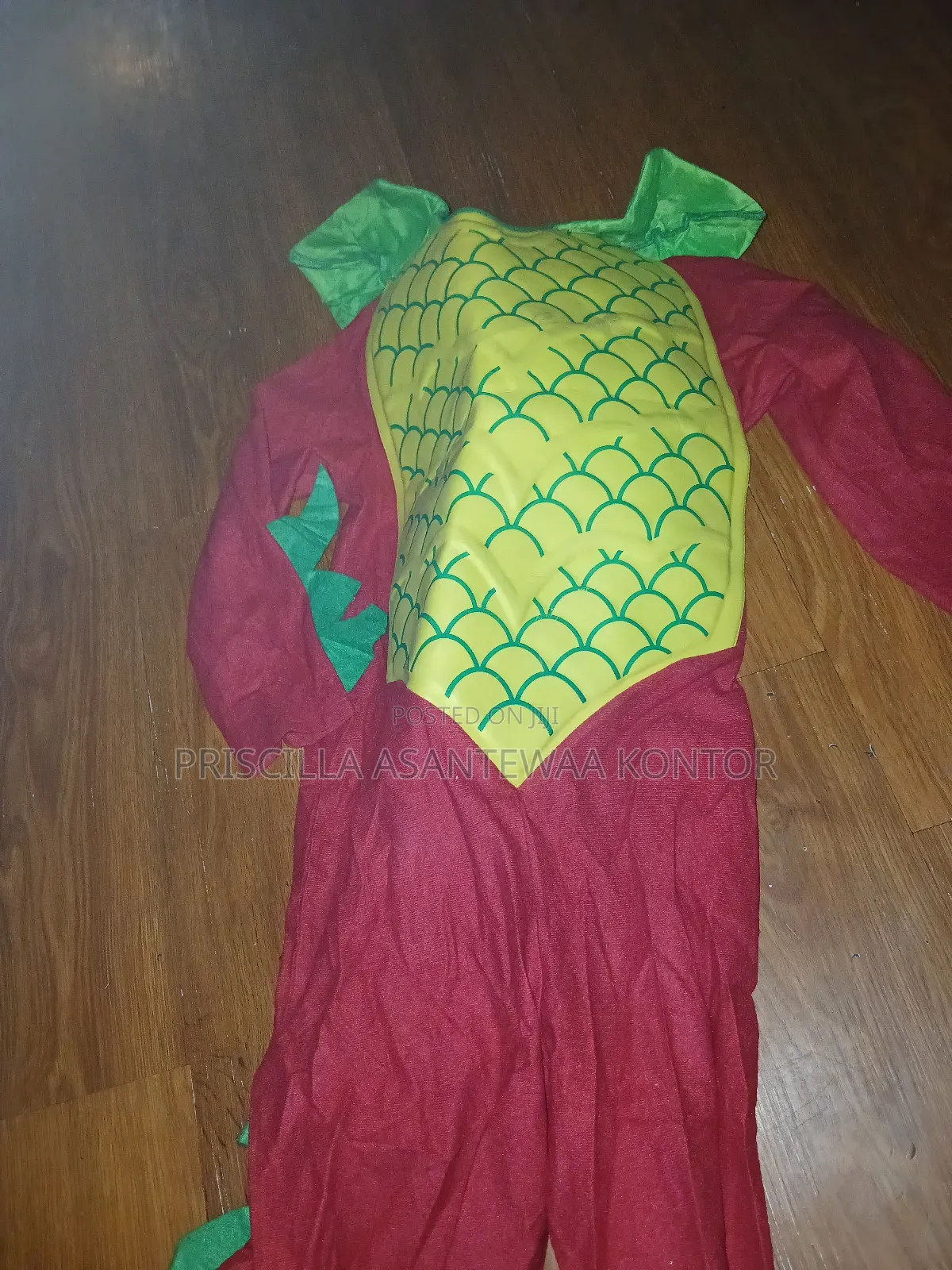 Fruit and Vegetable Costumes