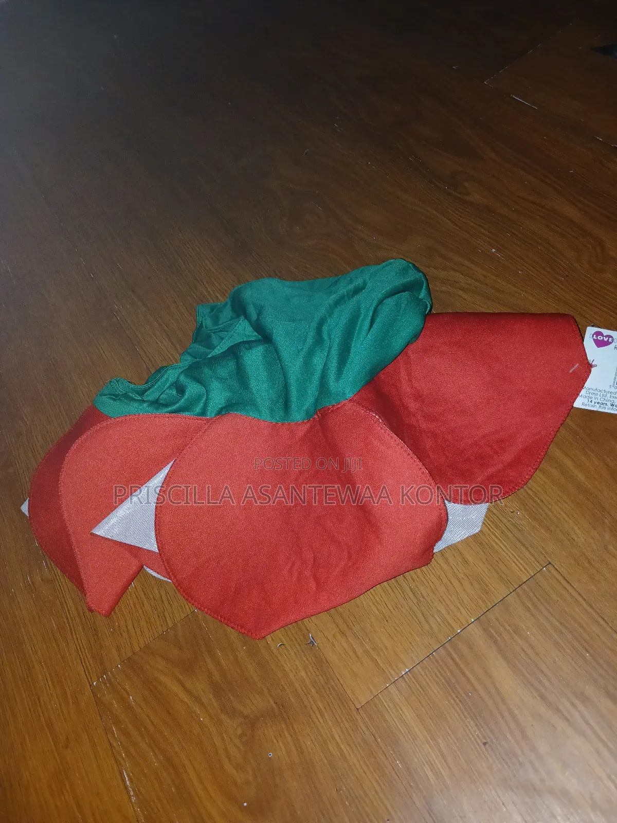 Fruit and Vegetable Costumes