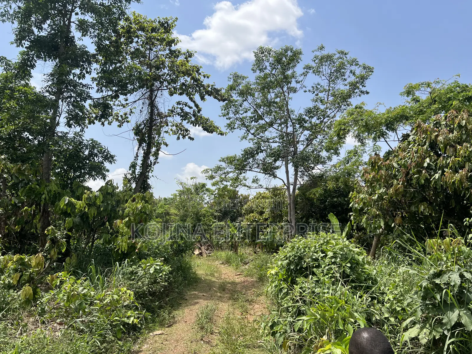 Affordable Land for Sale at Ejisu-Adense