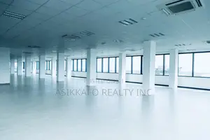 Luxury Office Spaces Renting in Airport City, Premier Business Center