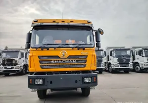 Shacman Ff3000 Dump Truck