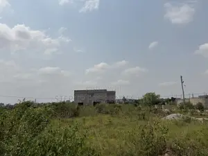 2 Plots of Land at Amrahia for Sale