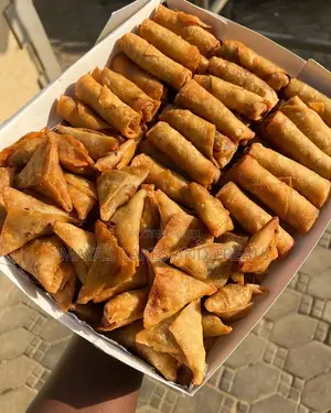 Fried Spring Roll and Samosa