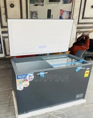 Energy Efficient Nasco 380l Electric Freezer(Nas420fl) 