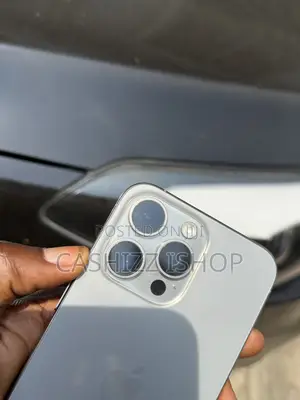 Apple iPhone 15 Pro Max 256 GB Gray