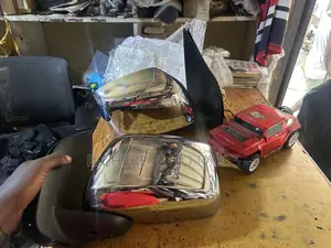 Nissan Navara Side Mirror