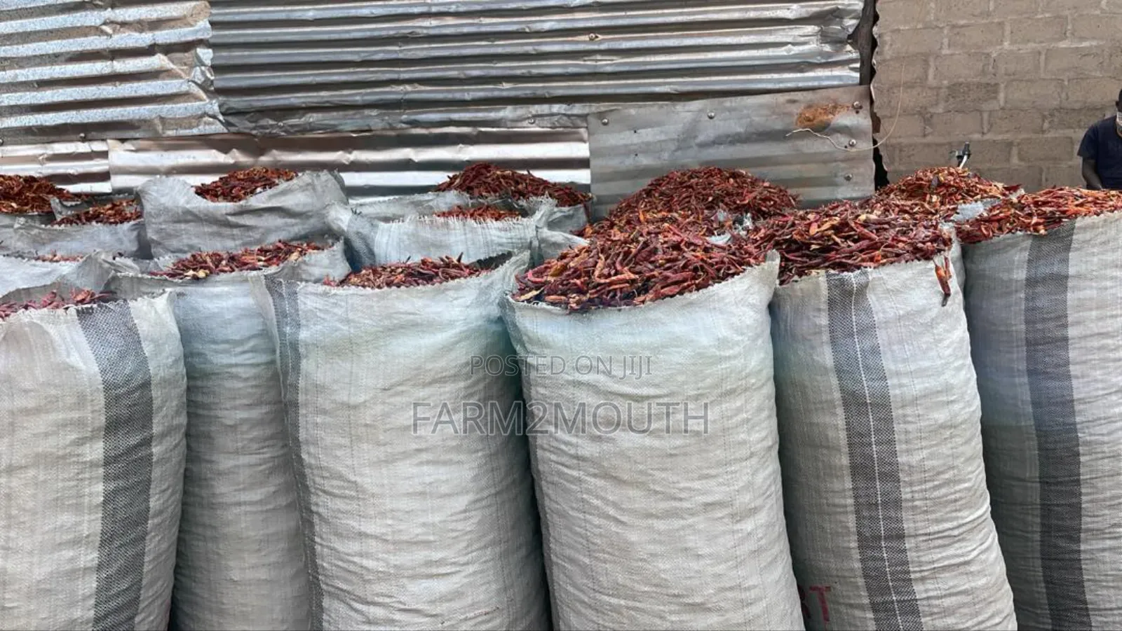 Dried Chilli Pepper