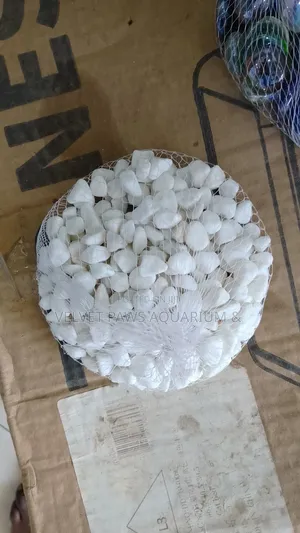 Aquarium White Stones