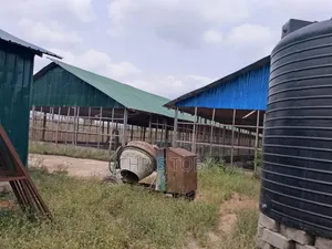 Intended Poultry Farm on 13 Acres of Land