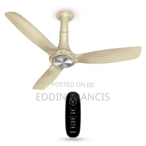 Decorative Inox Ceiling Fan With Remote Control