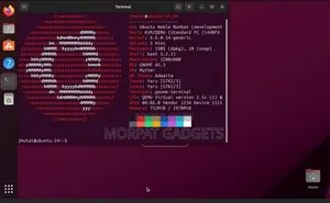 Ubuntu 24.04.3 LTS Installation Services