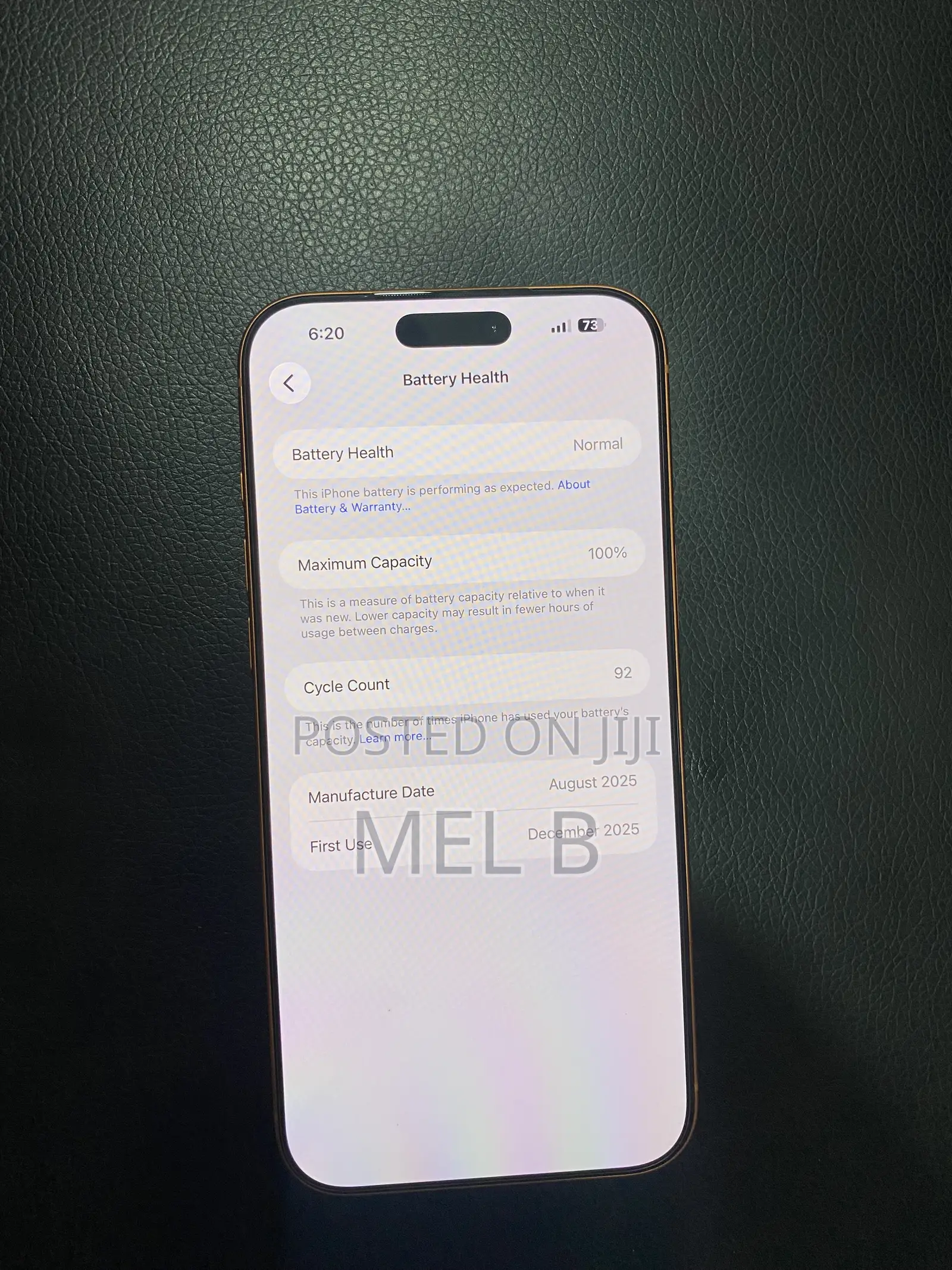 Apple iPhone 17 Pro Max 256 GB Orange