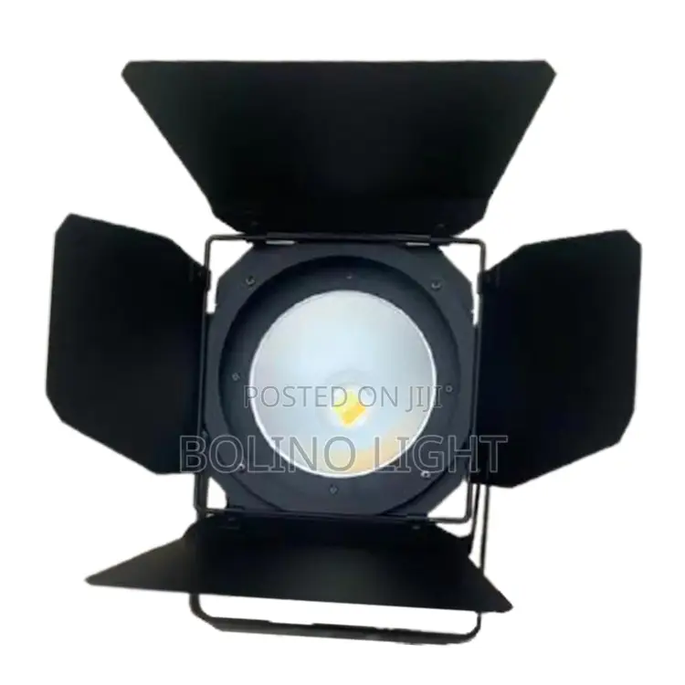 Cob Light Led Par