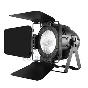 Cob Light Led Par