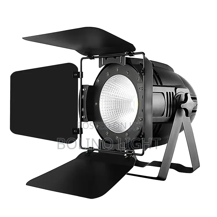 Cob Light Led Par