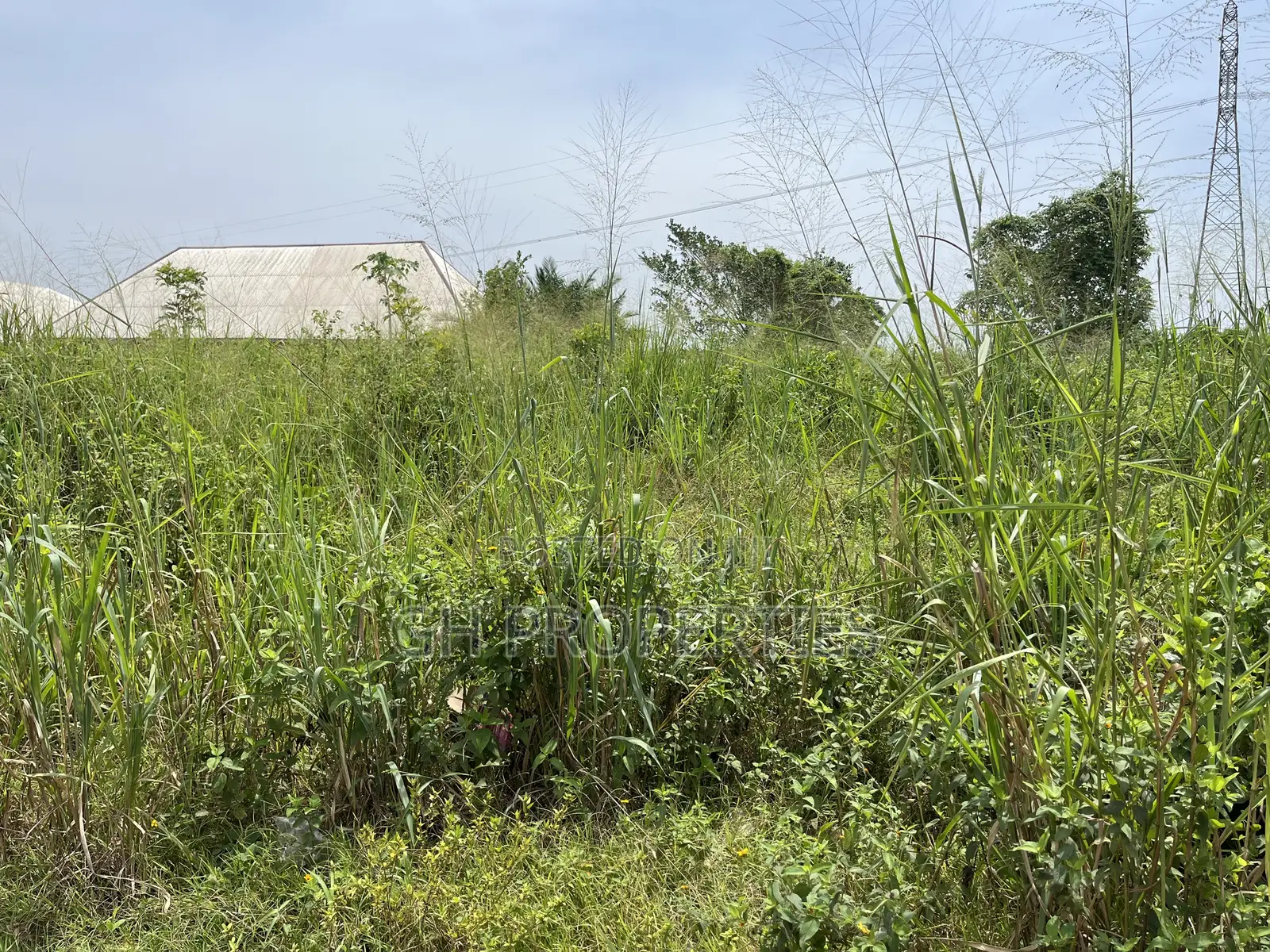 One Plot for Sale at Sokoban Afracho.
