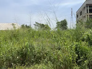 One Plot for Sale at Sokoban Afracho.