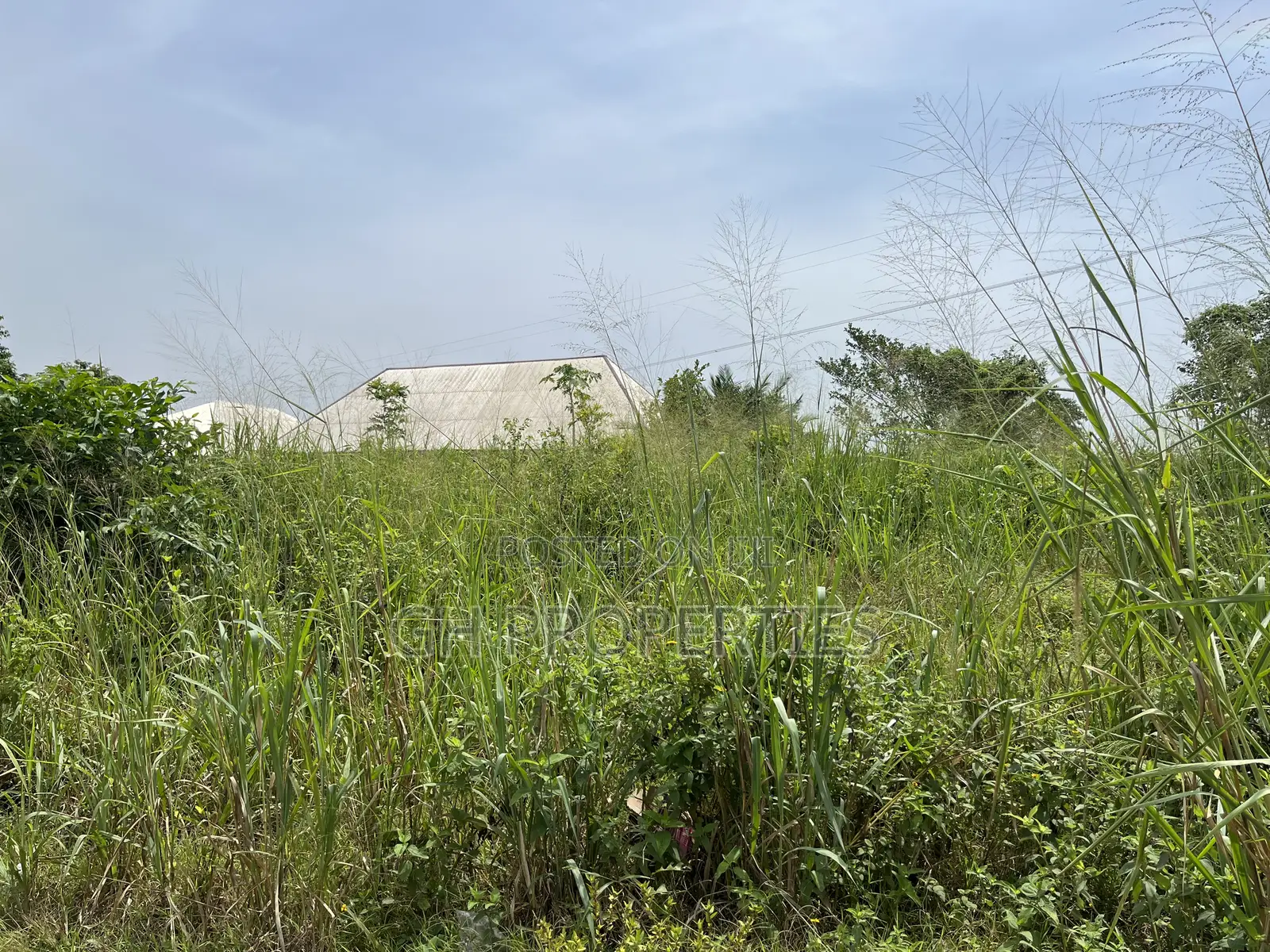 One Plot for Sale at Sokoban Afracho.