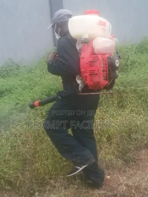 Move in Move Out Fumigation