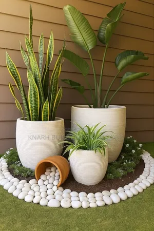 Garden and Landscaping