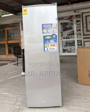 Nasco Single Door Electric Upright Standing Freezer(Nasd1-33) 