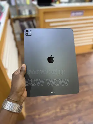 Apple iPad Pro 13 (2024) 512 GB Gray