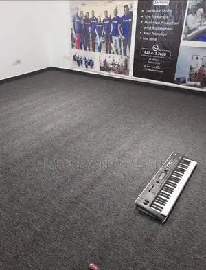 Black Ash Fluffy Carpet/Quality Room, Studio, Hotel, and Office Carpet