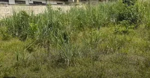 Plot of Land for Sale