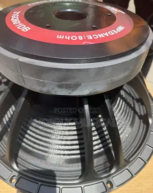 21 Inches Jac Double Magnet Speaker 5000watt